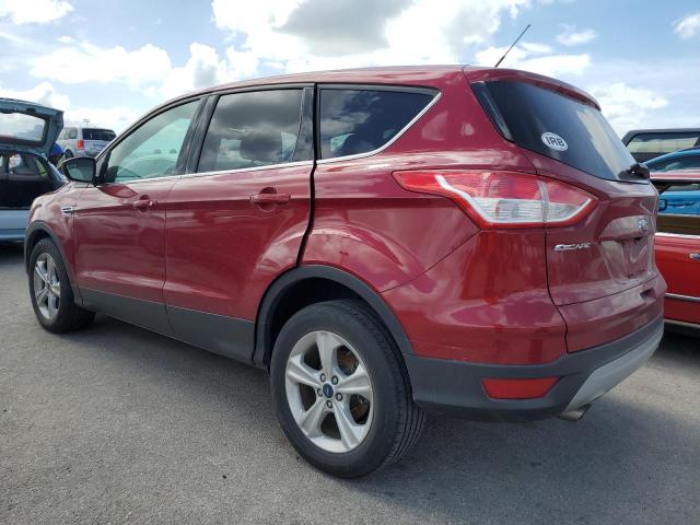 Photo 1 VIN: 1FMCU0GX7EUB58853 - FORD ESCAPE SE 