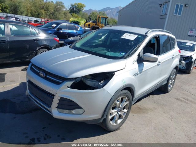 Photo 1 VIN: 1FMCU0GX7EUB61736 - FORD ESCAPE 