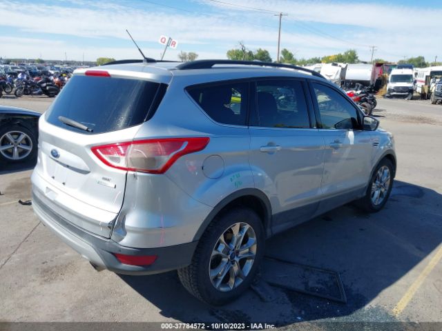 Photo 3 VIN: 1FMCU0GX7EUB61736 - FORD ESCAPE 