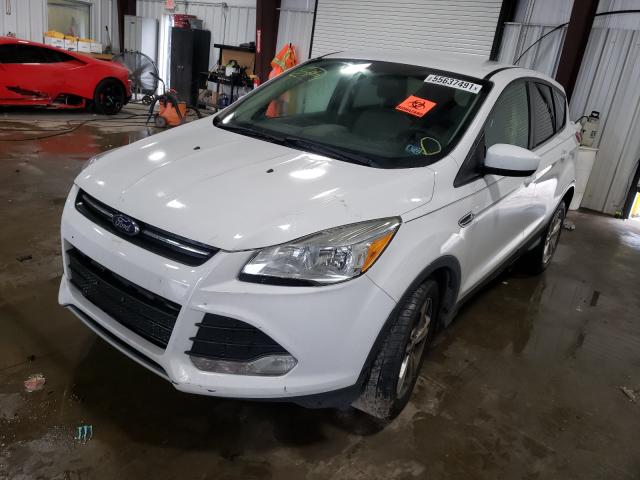 Photo 1 VIN: 1FMCU0GX7EUB75605 - FORD ESCAPE SE 