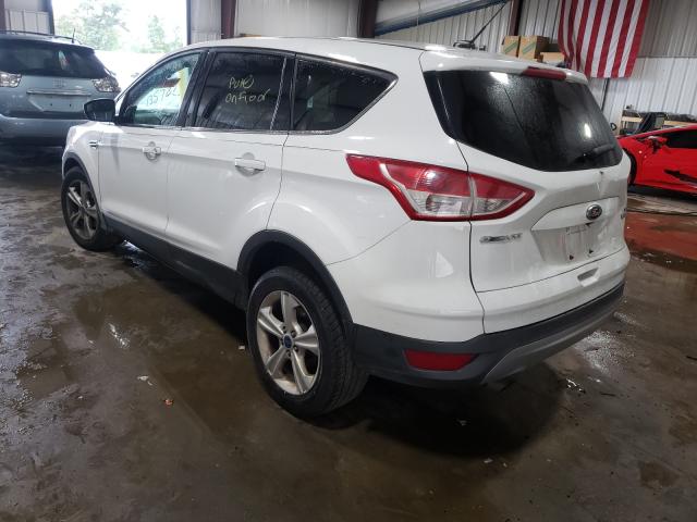 Photo 2 VIN: 1FMCU0GX7EUB75605 - FORD ESCAPE SE 