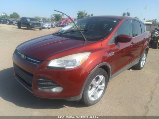 Photo 1 VIN: 1FMCU0GX7EUB81663 - FORD ESCAPE 