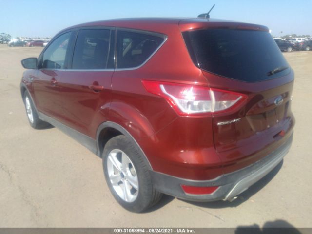 Photo 2 VIN: 1FMCU0GX7EUB81663 - FORD ESCAPE 