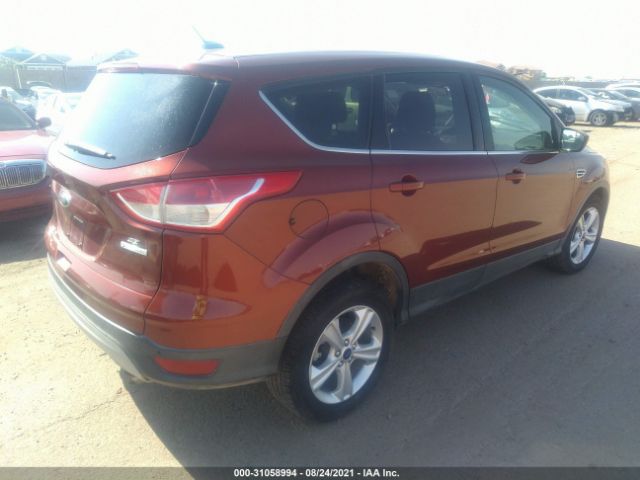 Photo 3 VIN: 1FMCU0GX7EUB81663 - FORD ESCAPE 