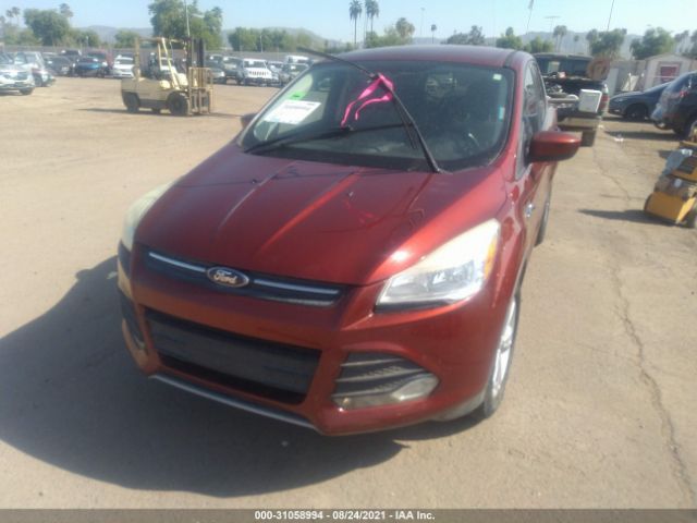 Photo 5 VIN: 1FMCU0GX7EUB81663 - FORD ESCAPE 