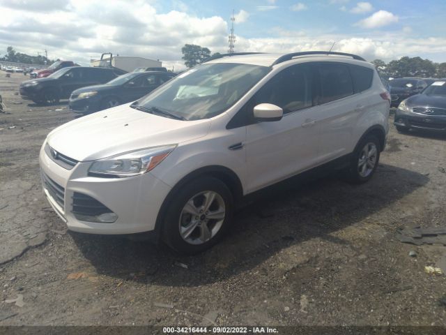 Photo 1 VIN: 1FMCU0GX7EUB92940 - FORD ESCAPE 