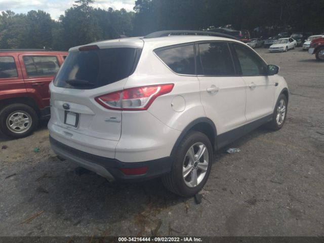 Photo 3 VIN: 1FMCU0GX7EUB92940 - FORD ESCAPE 