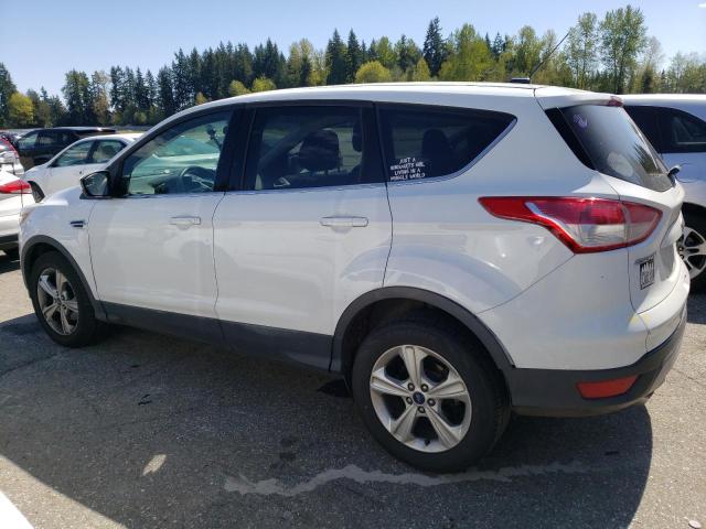 Photo 1 VIN: 1FMCU0GX7EUC00938 - FORD ESCAPE 