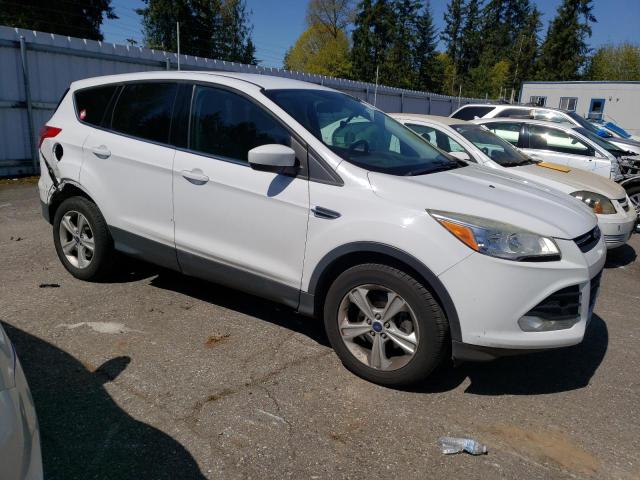 Photo 3 VIN: 1FMCU0GX7EUC00938 - FORD ESCAPE 