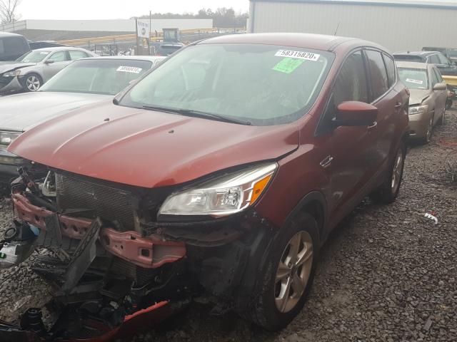 Photo 1 VIN: 1FMCU0GX7EUC04598 - FORD ESCAPE SE 