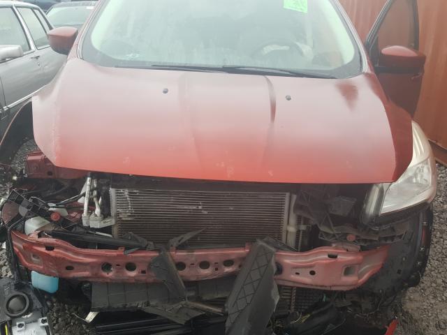 Photo 6 VIN: 1FMCU0GX7EUC04598 - FORD ESCAPE SE 