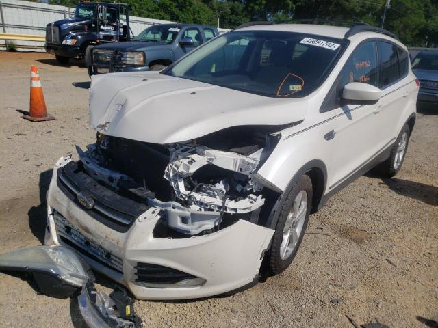 Photo 1 VIN: 1FMCU0GX7EUC17304 - FORD ESCAPE SE 