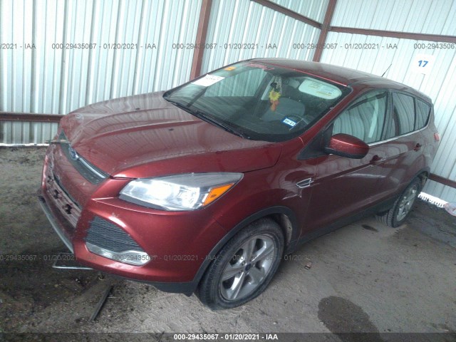 Photo 1 VIN: 1FMCU0GX7EUC51730 - FORD ESCAPE 