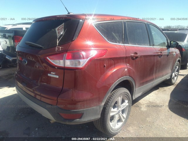 Photo 3 VIN: 1FMCU0GX7EUC51730 - FORD ESCAPE 