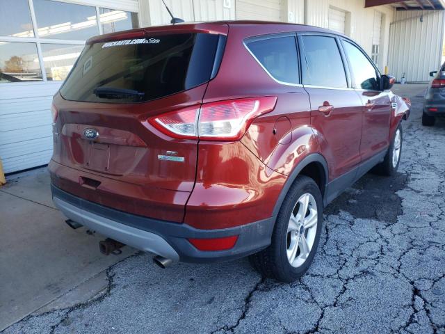 Photo 3 VIN: 1FMCU0GX7EUC70777 - FORD ESCAPE SE 