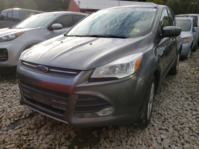 Photo 1 VIN: 1FMCU0GX7EUC93413 - FORD ESCAPE SE 