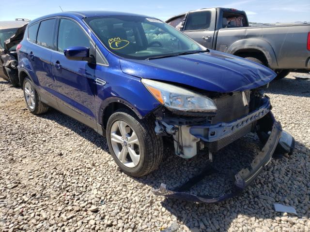 Photo 0 VIN: 1FMCU0GX7EUD03146 - FORD ESCAPE SE 