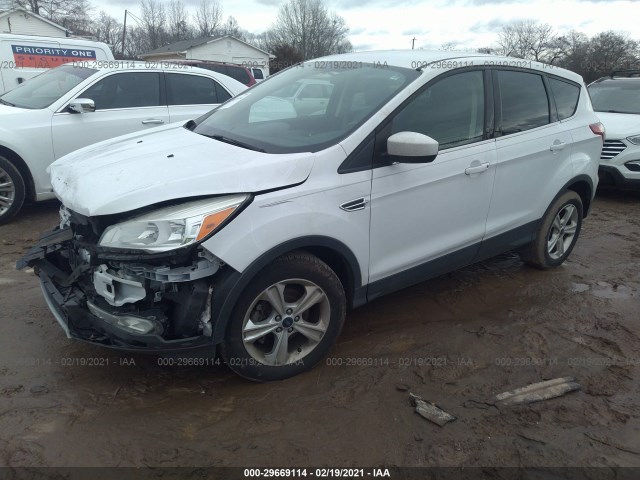 Photo 1 VIN: 1FMCU0GX7EUD22487 - FORD ESCAPE 