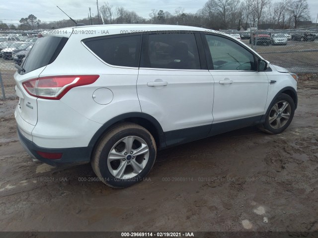 Photo 3 VIN: 1FMCU0GX7EUD22487 - FORD ESCAPE 