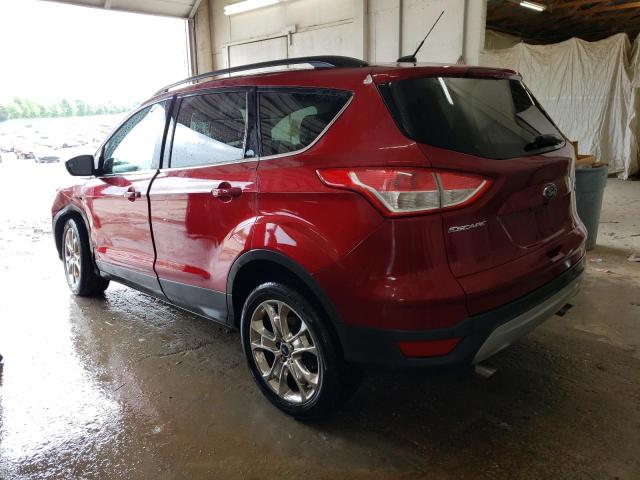 Photo 1 VIN: 1FMCU0GX7EUD35644 - FORD ESCAPE 