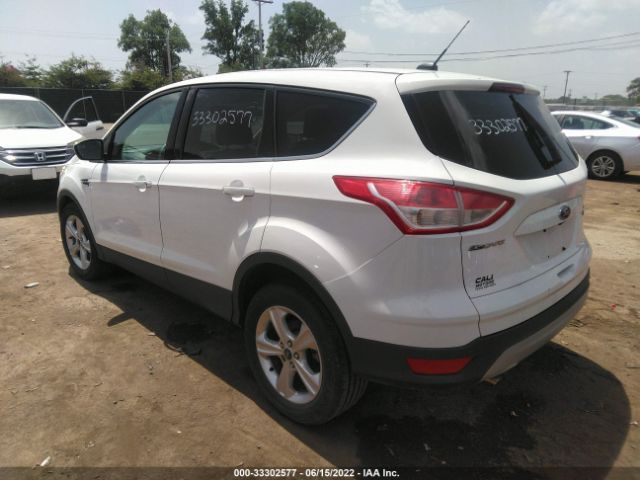 Photo 2 VIN: 1FMCU0GX7EUD46644 - FORD ESCAPE 