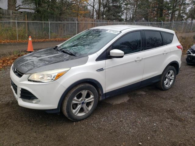 Photo 0 VIN: 1FMCU0GX7EUE02422 - FORD ESCAPE 