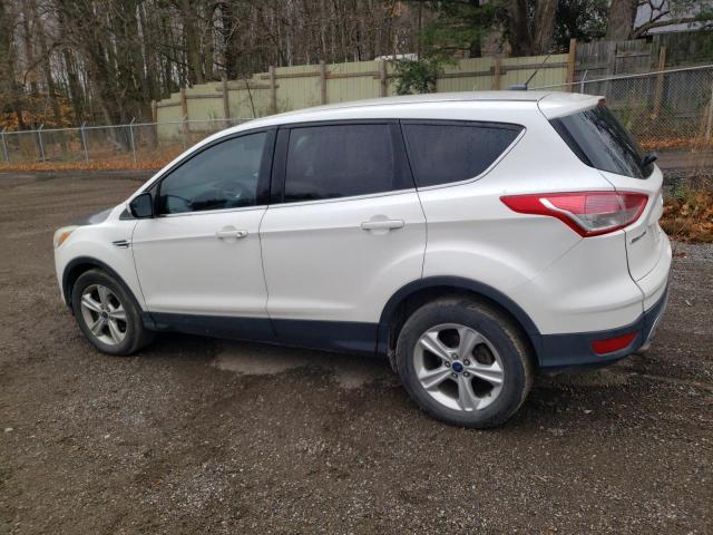 Photo 1 VIN: 1FMCU0GX7EUE02422 - FORD ESCAPE 