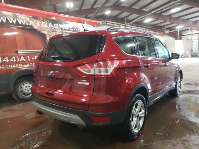 Photo 3 VIN: 1FMCU0GX7EUE24436 - FORD ESCAPE SE 