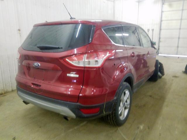 Photo 3 VIN: 1FMCU0GX7EUE40572 - FORD ESCAPE SE 