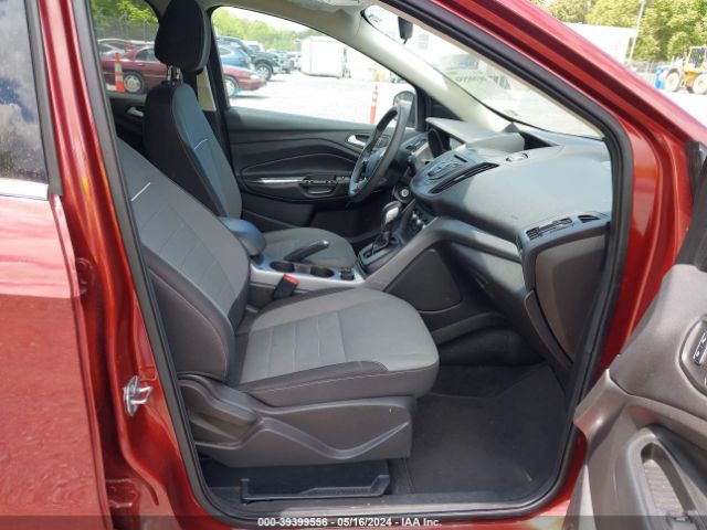 Photo 4 VIN: 1FMCU0GX7FUB16782 - FORD ESCAPE 