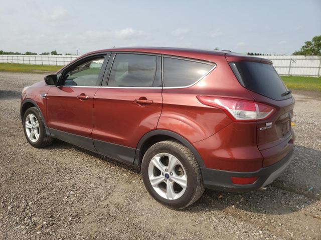 Photo 1 VIN: 1FMCU0GX7GUA66113 - FORD ESCAPE 