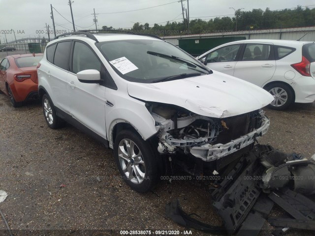 Photo 0 VIN: 1FMCU0GX8DUA45749 - FORD ESCAPE 