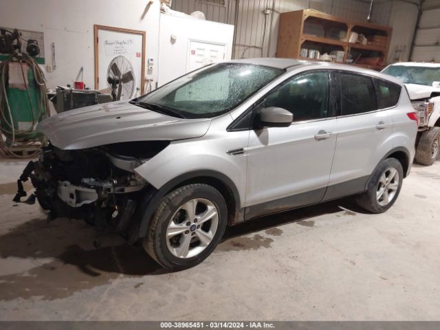 Photo 1 VIN: 1FMCU0GX8DUB16691 - FORD ESCAPE 