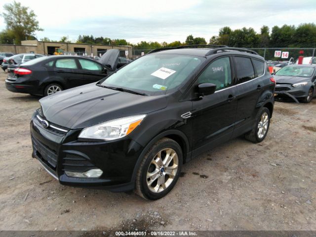 Photo 1 VIN: 1FMCU0GX8DUB60044 - FORD ESCAPE 