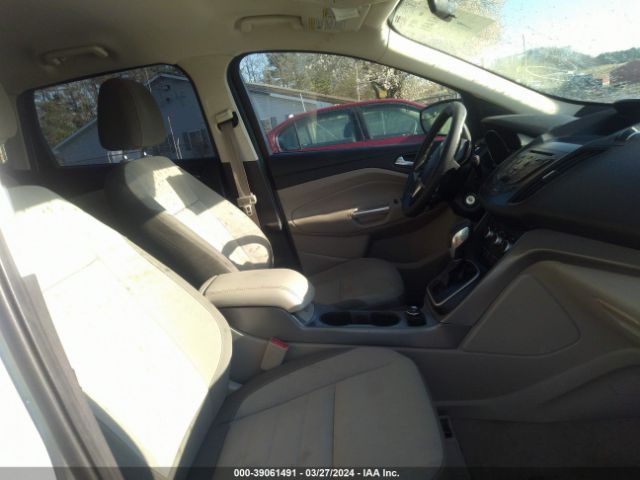 Photo 4 VIN: 1FMCU0GX8DUB61842 - FORD ESCAPE 