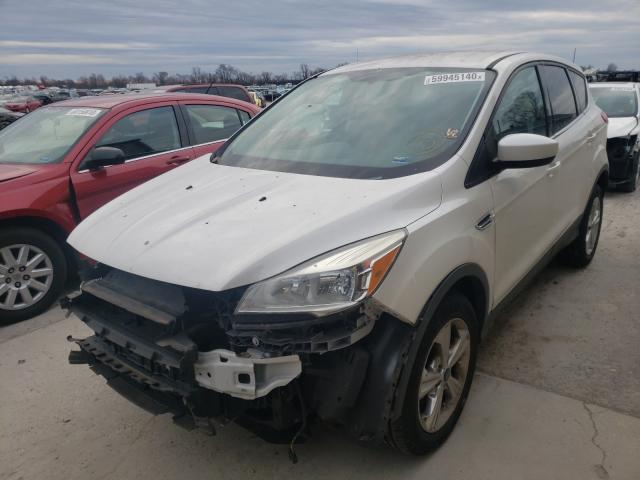 Photo 1 VIN: 1FMCU0GX8DUD47655 - FORD ESCAPE SE 