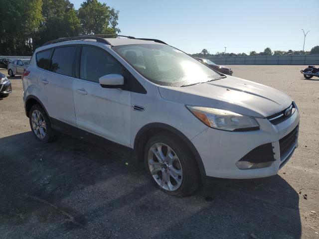 Photo 3 VIN: 1FMCU0GX8DUD63631 - FORD ESCAPE SE 