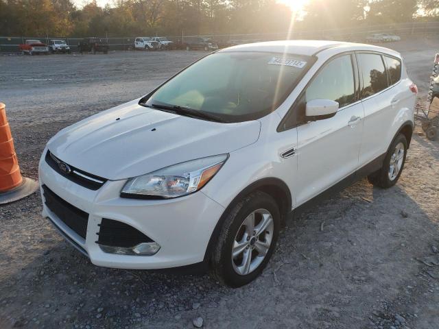 Photo 1 VIN: 1FMCU0GX8DUD75522 - FORD ESCAPE SE 