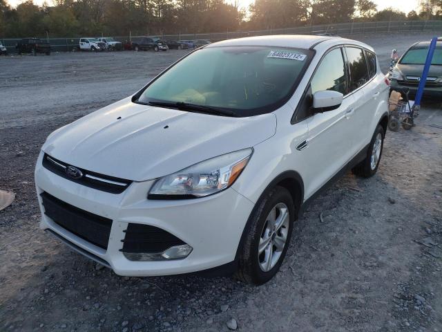 Photo 8 VIN: 1FMCU0GX8DUD75522 - FORD ESCAPE SE 