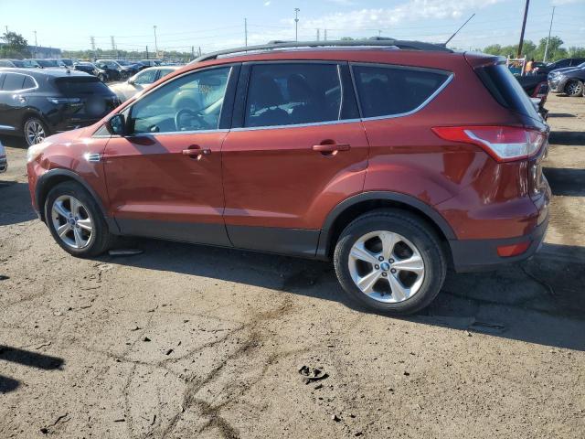 Photo 1 VIN: 1FMCU0GX8EUA00005 - FORD ESCAPE 