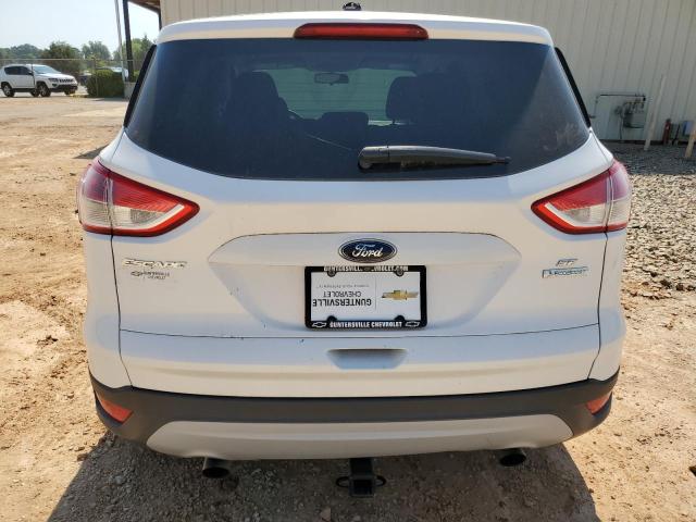 Photo 5 VIN: 1FMCU0GX8EUA37183 - FORD ESCAPE SE 