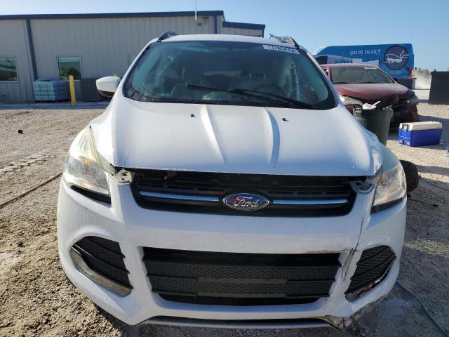 Photo 4 VIN: 1FMCU0GX8EUA42884 - FORD ESCAPE 