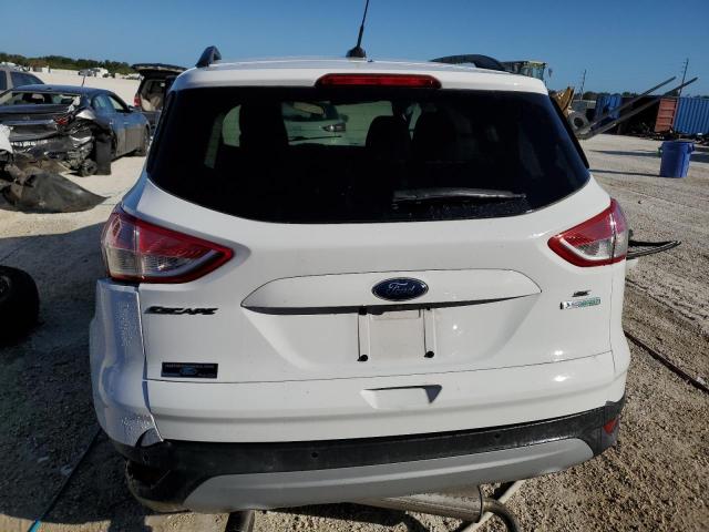 Photo 5 VIN: 1FMCU0GX8EUA42884 - FORD ESCAPE 