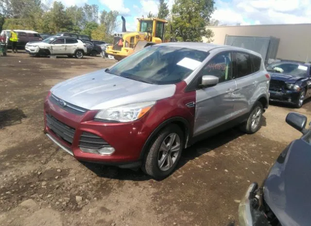 Photo 1 VIN: 1FMCU0GX8EUA52038 - FORD ESCAPE 