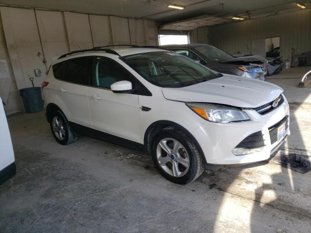 Photo 3 VIN: 1FMCU0GX8EUA66389 - FORD ESCAPE 