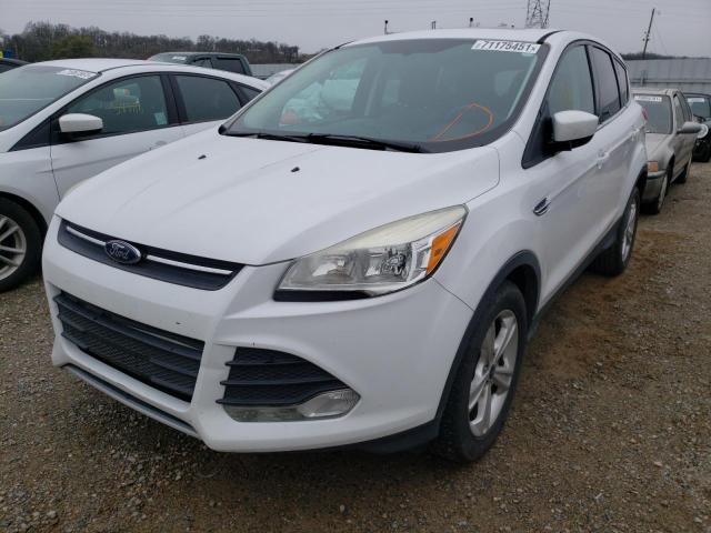 Photo 1 VIN: 1FMCU0GX8EUA78283 - FORD ESCAPE SE 