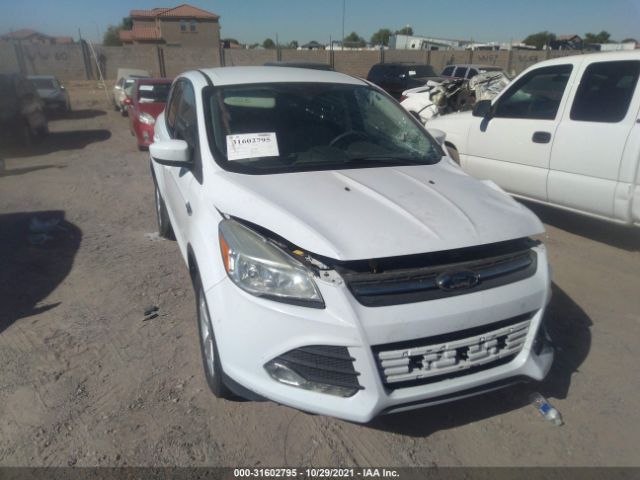 Photo 0 VIN: 1FMCU0GX8EUB36201 - FORD ESCAPE 