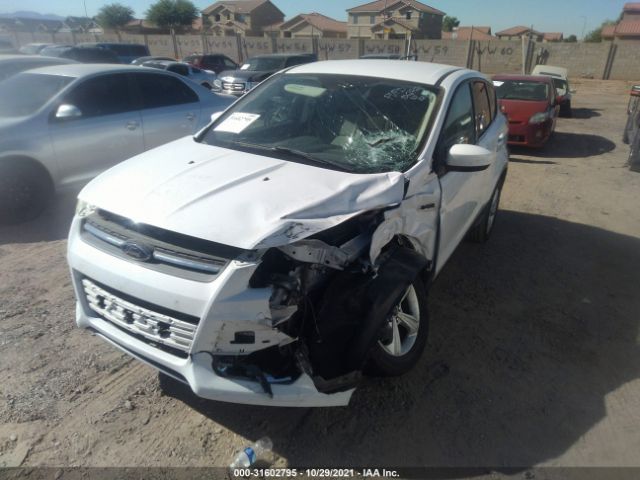 Photo 1 VIN: 1FMCU0GX8EUB36201 - FORD ESCAPE 