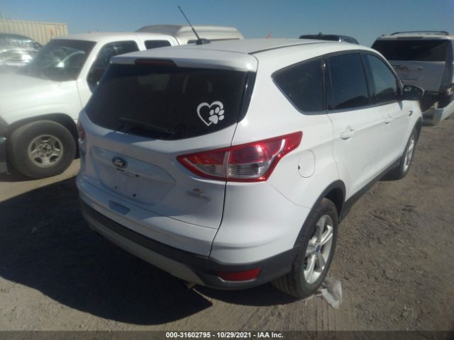 Photo 3 VIN: 1FMCU0GX8EUB36201 - FORD ESCAPE 