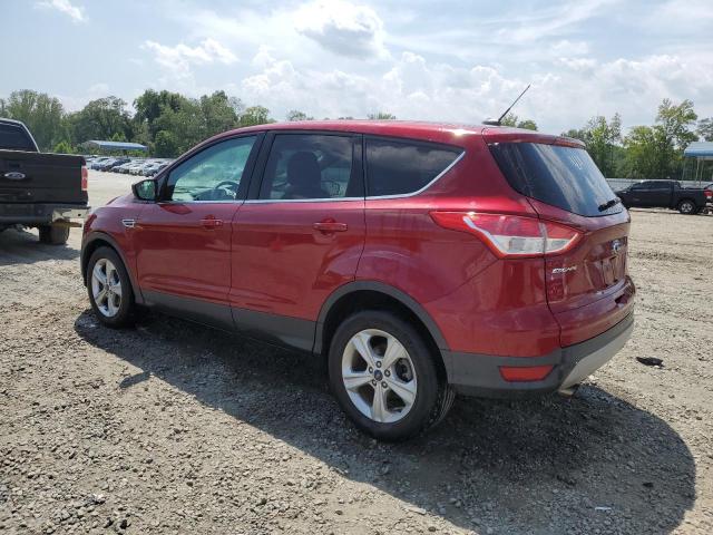 Photo 1 VIN: 1FMCU0GX8EUB53628 - FORD ESCAPE SE 